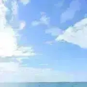 ぴの画像
