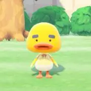 グリーンティーの画像