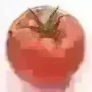 トマトの画像