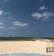 がちこの画像