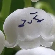 miの画像