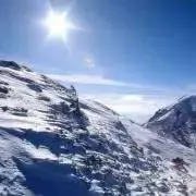 モタの画像