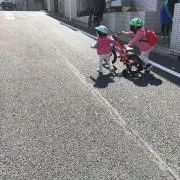 Saaeの画像