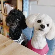 Happy&Roi