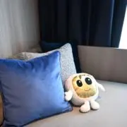 カトザウルスの画像