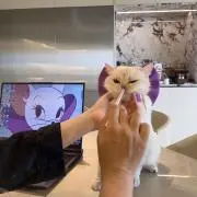 moonの画像