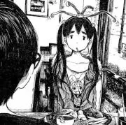 迦の画像
