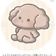 ぷーちゃん　パッチンピンセール中！！の画像