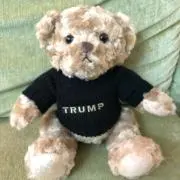 クマたんの画像