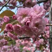 うた【プロフ必読】の画像