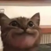 グエン　ダツト