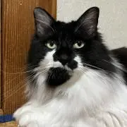 madara_プロフィールご一読下さいの画像