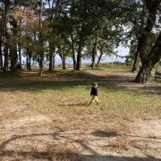 Namiの画像