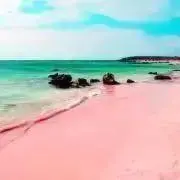 みにこの画像