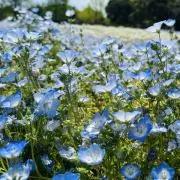 あき★の画像
