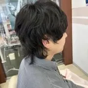 マーリンの画像