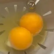 プロフ必読たまごの画像