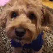 くぅー