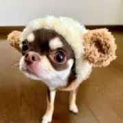 みうぱんまん