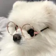チョコの画像