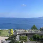 さくらの画像
