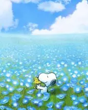 mimi 555の画像