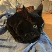 ひろ