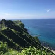 キングクラウン