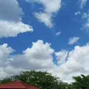 SUN【在庫確認願います】の画像