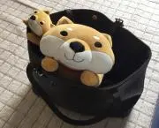 雄作
