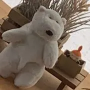 もず