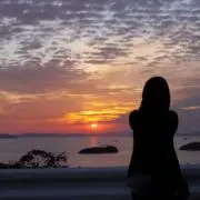 かにの画像