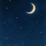 スクールナース