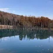 キョロマルの画像