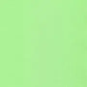 きみどりの画像