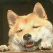 ハゲンダッツ