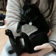 5_Sunnyの画像