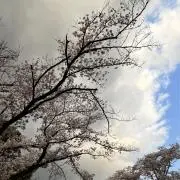 るみの画像