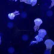 mocho⭐︎の画像