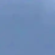 まの画像