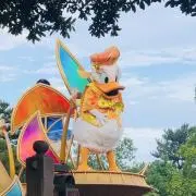 yyyの画像