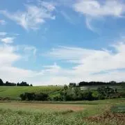 アローラの画像