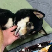 M@R