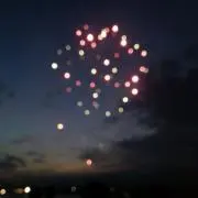 Sakuraの画像