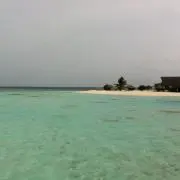 トモの画像