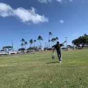 koroの画像