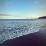 せいなの画像