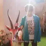 みれの画像