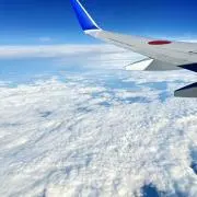 ✳︎ウサコ✳︎の画像