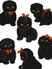 ゆみ吉